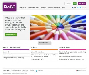 RAISE Website